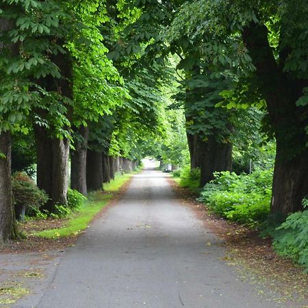 Wohnung Am Weserradweg Deesberg Экстерьер фото