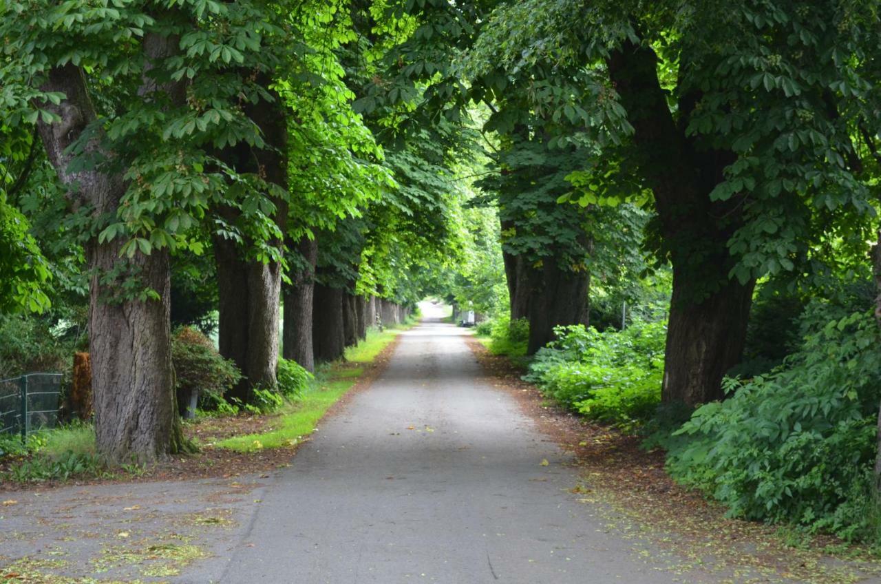 Wohnung Am Weserradweg Deesberg Экстерьер фото